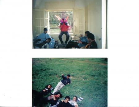 frde